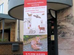 Ausstellung "(Un)heimliche Tiere in Haus und Garten"